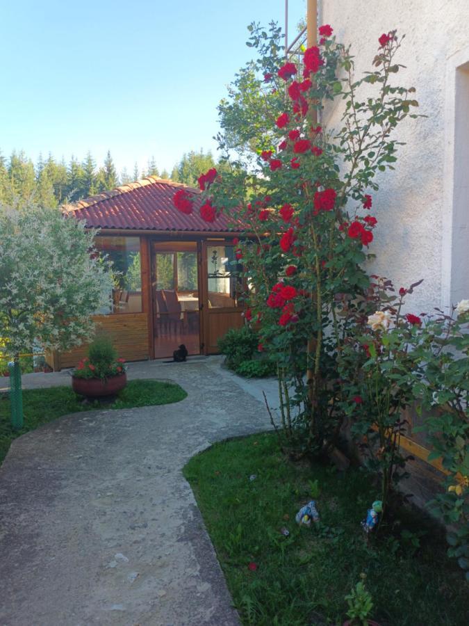Guest House Stoletnika Jagodina Zewnętrze zdjęcie