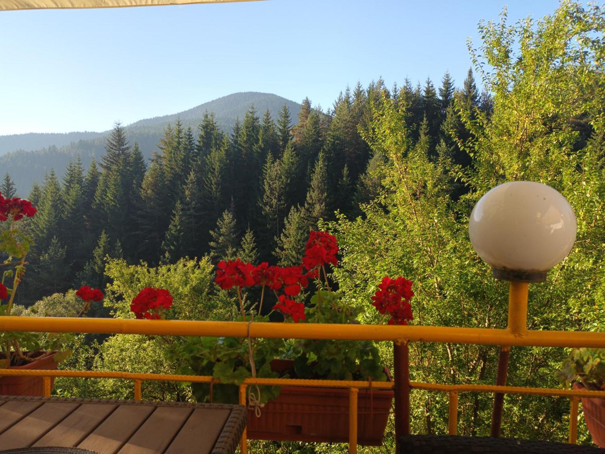 Guest House Stoletnika Jagodina Zewnętrze zdjęcie
