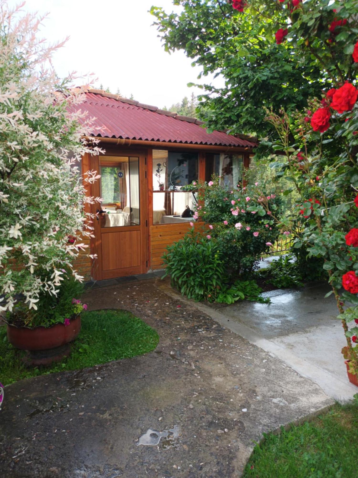 Guest House Stoletnika Jagodina Zewnętrze zdjęcie