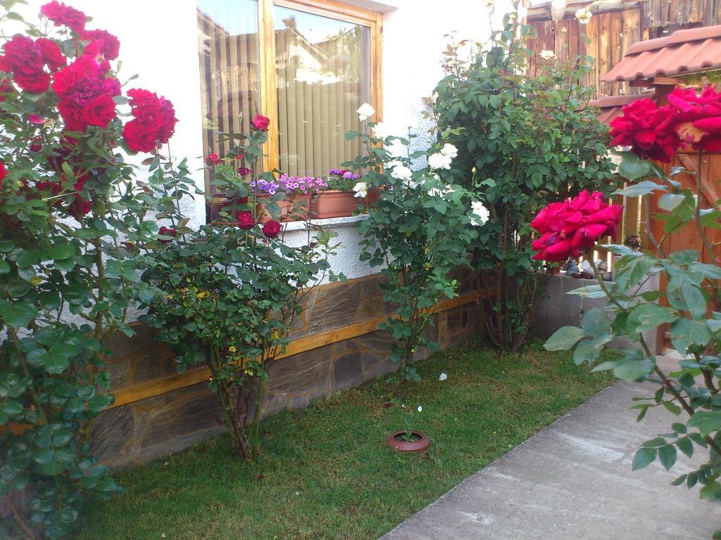 Guest House Stoletnika Jagodina Zewnętrze zdjęcie